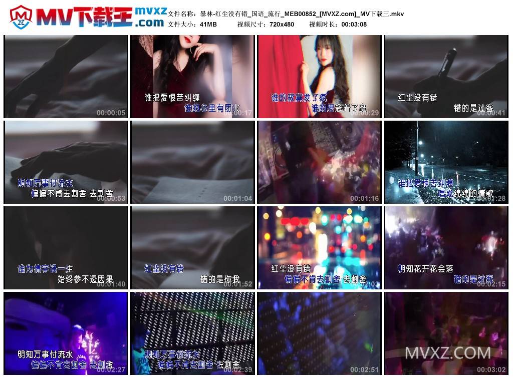 暴林-红尘没有错_国语_流行_MEB00852